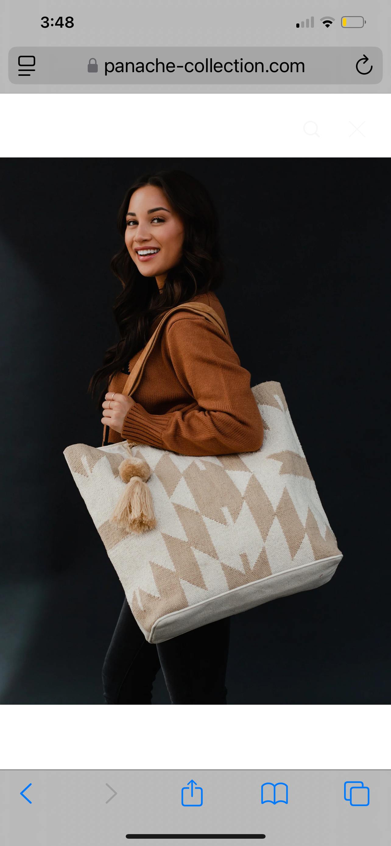 Cream & Tan Aztec Tote